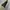 ROMANTIC MOVE LOAFER SHOES SUADE LEATHER photo 4