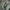 DUA LIPA *DON’T START NOW SINGLE PROMO* photo 2