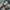 DUA LIPA *DON’T START NOW SINGLE PROMO* photo 3