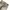 Buckaroo Streetwear Luxury Jeans Pria tan khaki photo 5