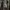 Kemeja Todd Oldham Men Vintage Floral Pattern Longsleeve photo 6