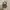 TOYZERO+ Teddy Lulu Vinyl Face Bagcharm - COURAGEOUS TEDDY photo 2