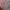 Hollister Avant Garde Sweater Pria gray photo 5