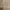 ZARA Women Wraparound Collar Coat In Beige photo 4
