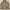 ZARA Women Wraparound Collar Coat In Beige photo 7