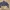 ZARA Women Semi Crop Top Denim Jacket photo 7