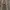 ZARA Women Knit Cardigan With Pearls photo 3