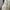 Vintage Babydoll dress Wanita white orange photo 7