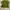 ZARA Women Green Knitted Tees photo 4