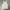 Japanese brand Y2K Goth Vest Pria white photo 2