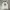 Japanese Brand Y2K Goth Vest Pria White