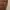 Vintage Crossbody Bag Wanita brown photo 3