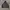 Sasquatchfabrix Not Undercover Kapital Visvim Cdg