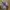 Melissa Fairy Casual Sandals & slide Kids purple photo 4
