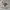 Vintage Peanuts Snoopy Charlie Brown photo 3