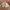 Casual Hat Wanita tan cream photo 1
