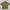 Uniqlo Vintage Casual Shirt Pria Green