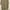 Vintage Minimalist T-shirt Pria green photo 2