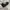 vans sk8 high skate pro photo 4