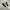 vans authentic skate pro black photo 1