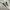 vans authentic 44 dx anaheim  photo 1