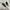 vans authentic  photo 1