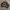 GU Knitwear Argyle Patterned Grandpa Sweater photo 6