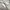 vans authentic  photo 1
