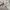 vans authentic 44 dx anaheim factory photo 4