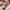 vans authentic 44 dx anaheim factory photo 7