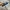 vans authentic  photo 4