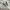 vans authentic  photo 1
