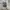 vans authentic  photo 3