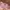 A Bathing Ape Lolita Casual Kids white pink photo 3