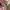 A Bathing Ape Lolita Casual Kids white pink photo 4