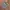 Futurist Casual Kids multicolor photo 1