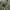 INSO Collection Olive Green Bomber Jacket photo 3