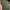 INSO Collection Olive Green Bomber Jacket photo 4