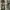Us Army Military Camouflage Rothco Distressed Cargo Pants