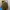 Awesome Apparel Korean Tan Canvas Coach Jacket photo 2