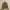 Awesome Apparel Korean Tan Canvas Coach Jacket photo 1