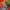 Adidas Gorpcore Sportswear Sneakers Pria Red Black
