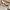 Norda 001 photo 5