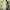Vintage goa raw hem sweater  photo 3