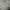 Burberry black label embroidery logo long sleeve tee photo 5