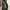 Nike Vintage Sportswear Bag Pria green photo 3
