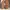Maison Margiela GAT Shoes Black Brown photo 4