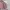 00s Heavyweight Boxy Zip Up Faded Pink photo 3