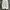 Longpants GU Uniqlo