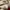 Deus Ex Machina Streetwear Biker Hat Pria red photo 5